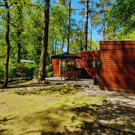 Wooden Nature Chalet - Dennenrhode Doornspijkヴィラ エクステリア 写真