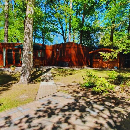 Wooden Nature Chalet - Dennenrhode Doornspijkヴィラ エクステリア 写真