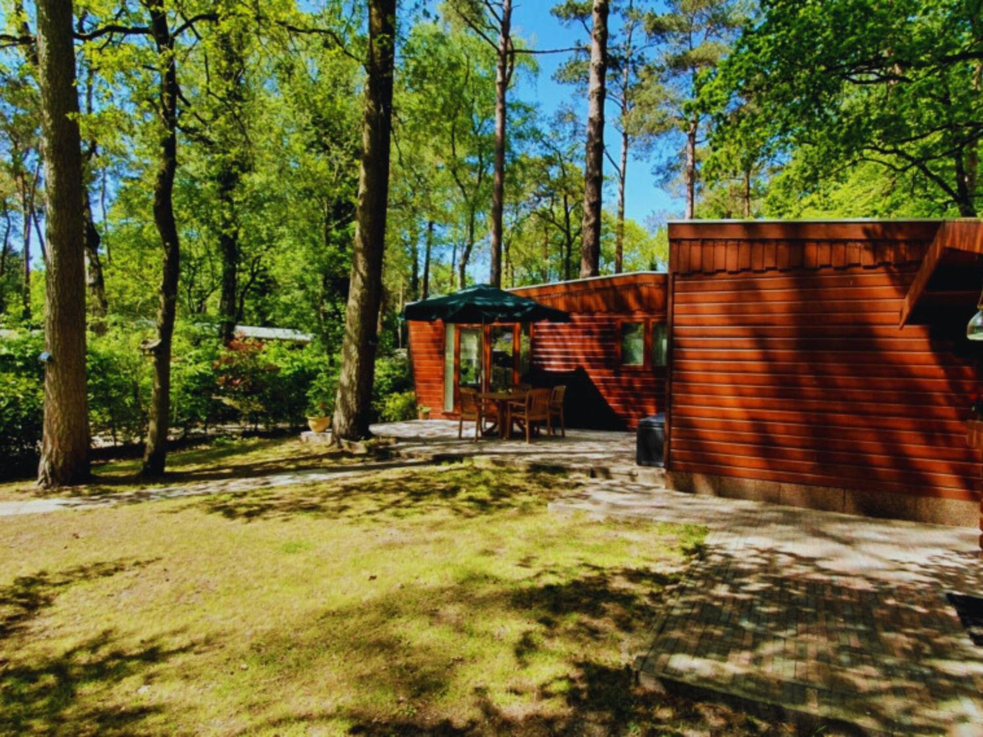 Wooden Nature Chalet - Dennenrhode Doornspijkヴィラ エクステリア 写真